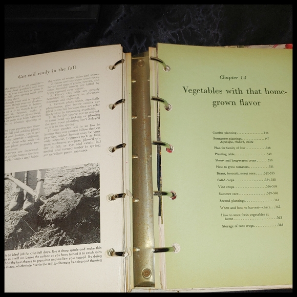 1951 Better Homes and Garden Garden Book - Picture 12 of 16